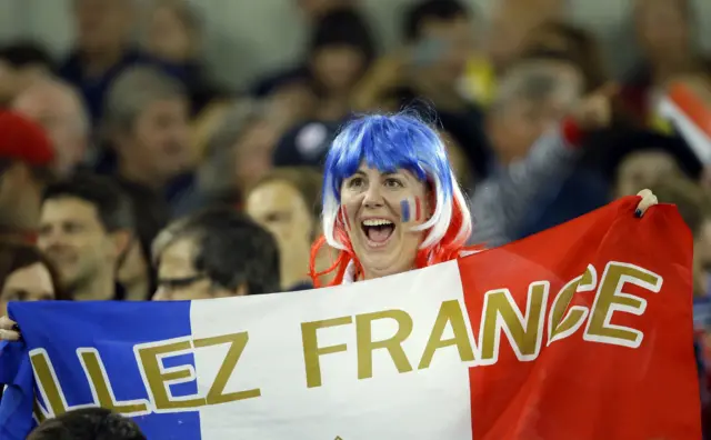 A France supporter