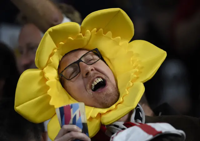 A Wales supporter