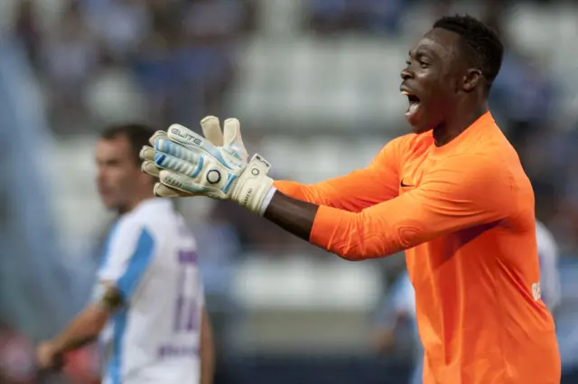 Carlos Kameni