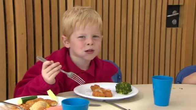 Child eating a school meal