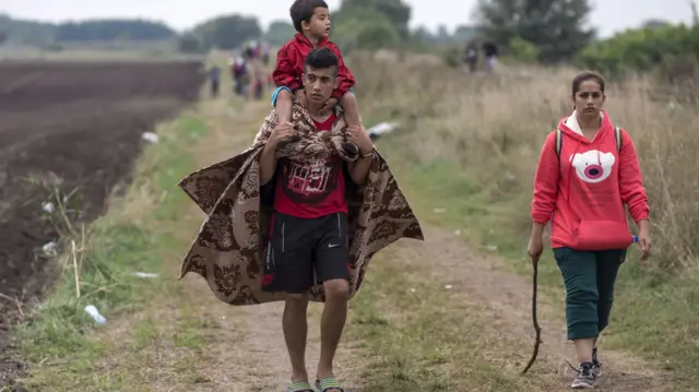 A migrant familly walks through a field after crossing into Hungary from the border with Serbia near the village of Roszke