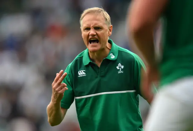 Joe Schmidt