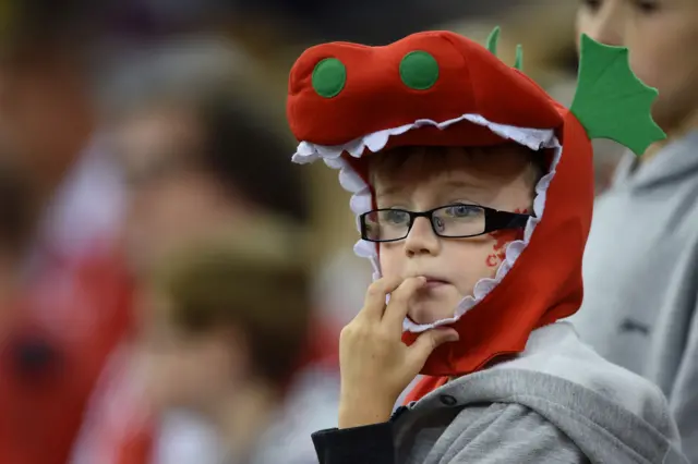 A young Welsh fan