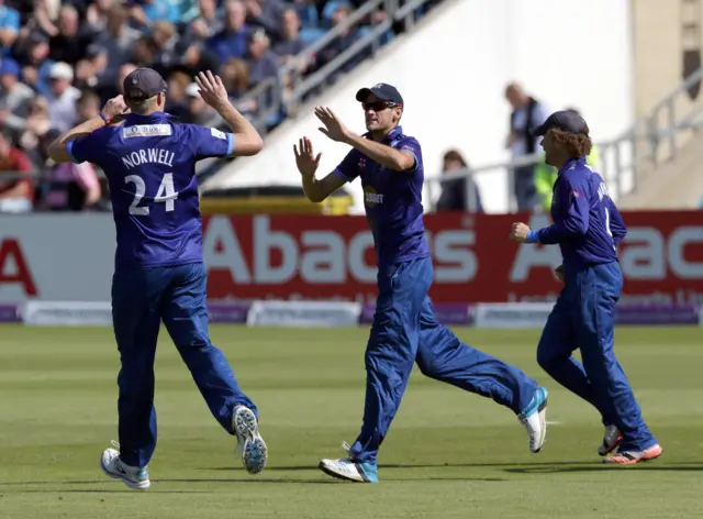 David Payne celebrates wicket of Adam Lyth