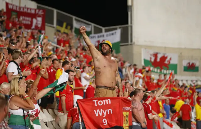 Wales fans