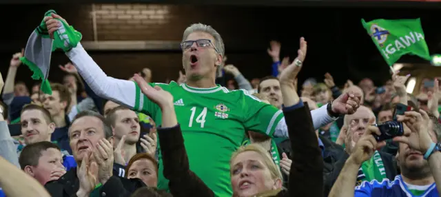 A Northern Ireland fan