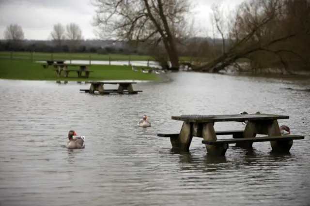 Port Meadow near Oxford on 9 January 2016