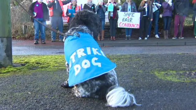 Pickets at Torbay