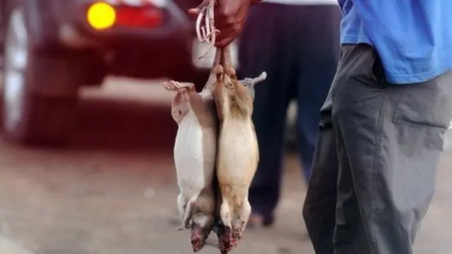 A Ghanaian vendor offers his catch known as ''bushmeat'' on route between Kumasi and Accra on 8 February 2008