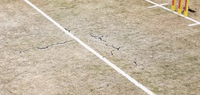 The wicket at The Wanderers stadium