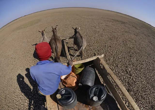 A man crosses the dried Bokaa Dam with a donkey cart on the outskirts of Gaborone on August 14, 2015 in Botswana.