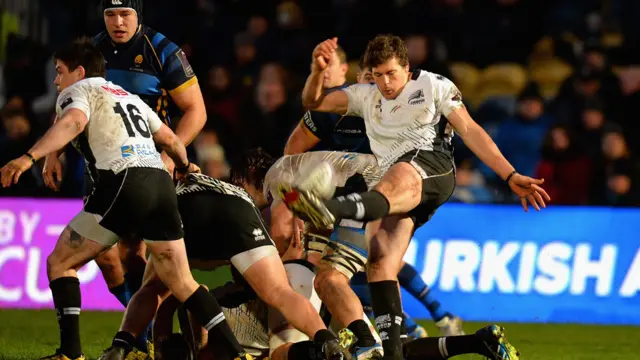 Worcester v Zebre