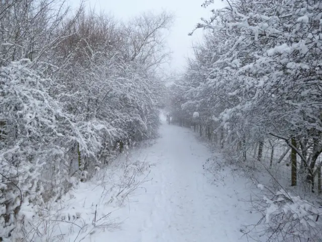 Snow in Asfordby