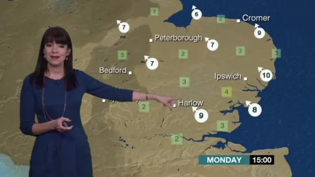 Elizabeth Rizzini presenting the weather