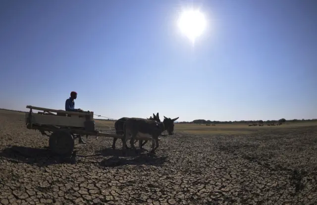 Impact of drought in Botswana