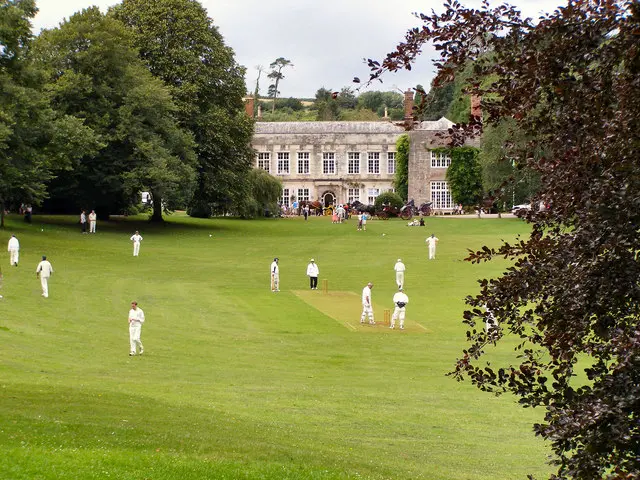 Cockington Hill