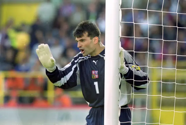 Former Newcastle United goalkeeper Pavel Srnicek