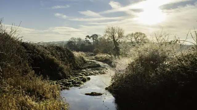 "A frosty River Pang" in Berkshire