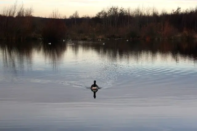 Walton Colliery Nature Park