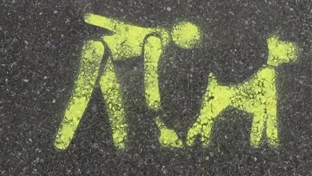 Stencil asking people to clear up after their dogs