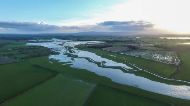 flooded field