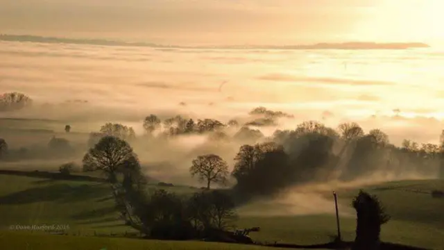 Misty river valley