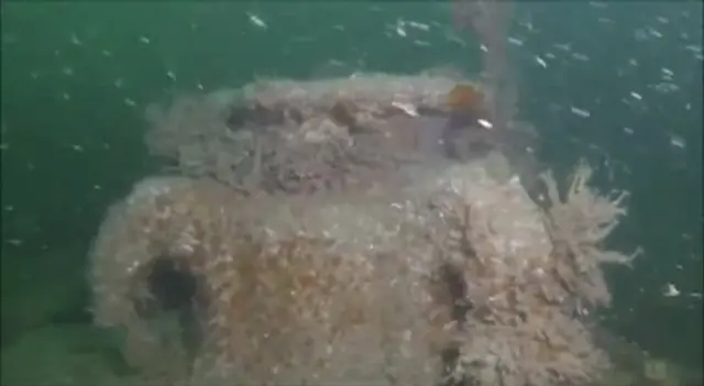 Wreck of the U-Boat, underwater