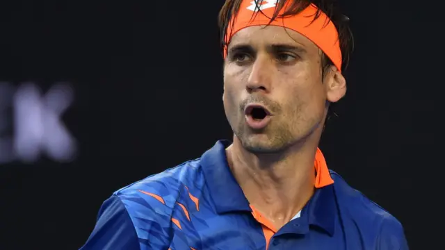 David Ferrer