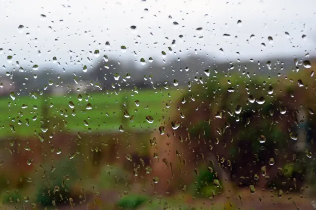 Rainy window