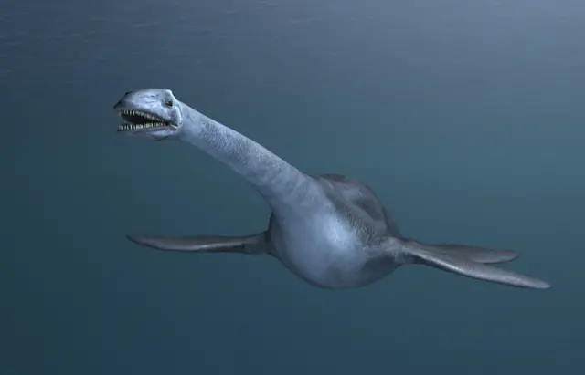 Artists impression of a plesiosaur