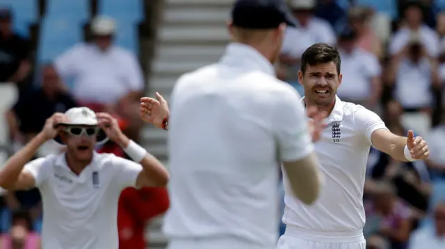 James Anderson celebrates