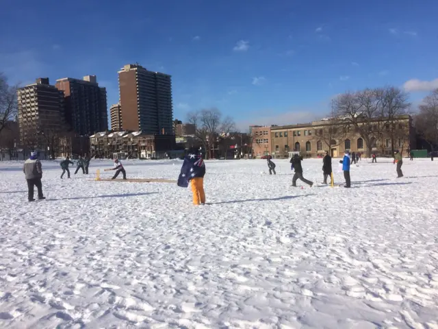 Snow Cricket World Cup