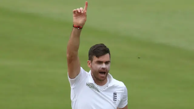 James Anderson celebrates