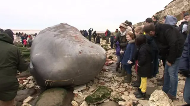 Crowds on Hunstanton beach with the dead sperm whale