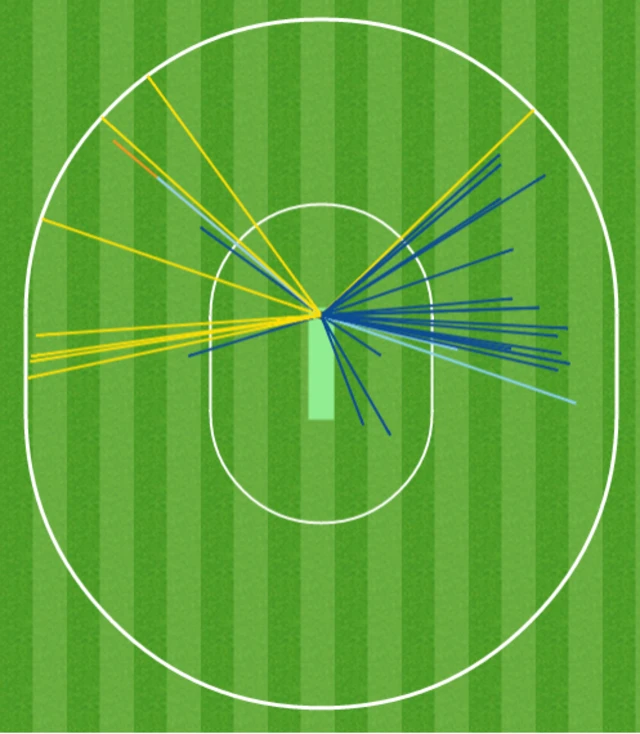 Amla wagon wheel