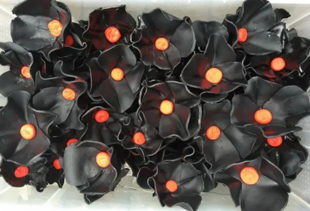 Black poppies