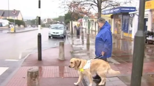 Blind person crossing the road with guide dog