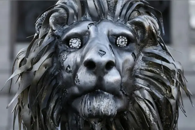 Lion's face