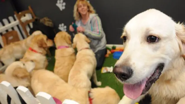 Dog breeder Lyn Skee and dog Lexi