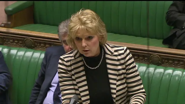 Business Minister Anna Soubry