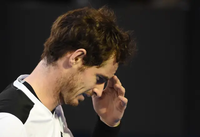 andy murray