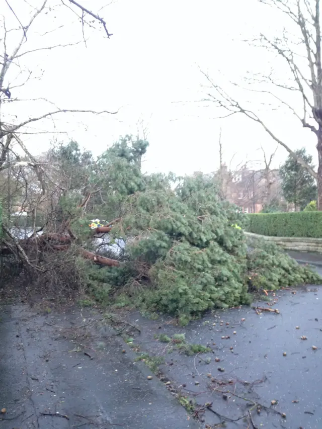 Hermitage Drive in Edinburgh