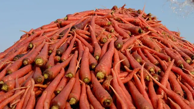 Carrots