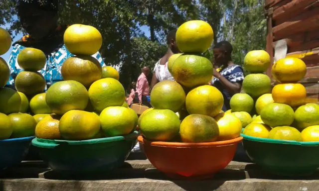 Piles of oranges