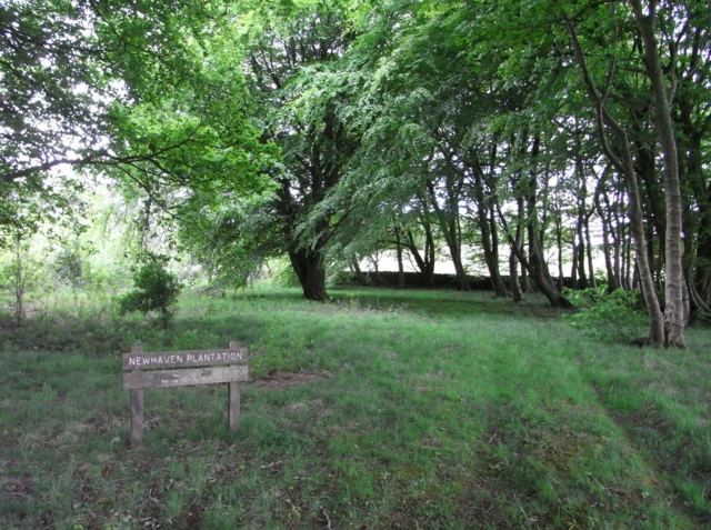 A woodland in the Peak District near Newhaven was sold for about £15,000