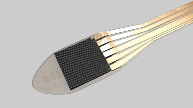 The bionic eye implant