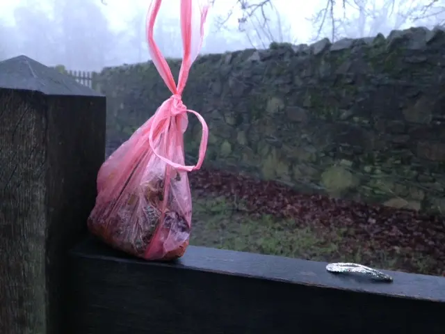 Dog poo bag found at Bradgate Park