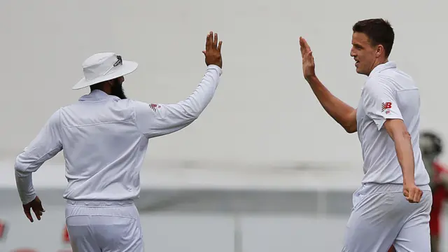 Morne Morkel and Hashim Amla celebrate the wicket of Alex Hales