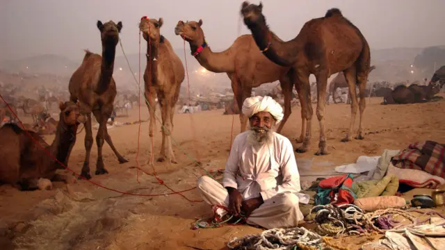 The Pushkar camel festival