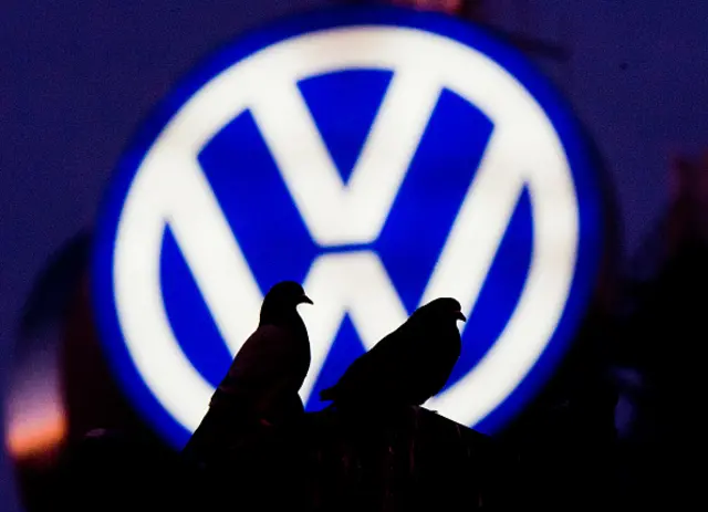 VW logo with pigeons